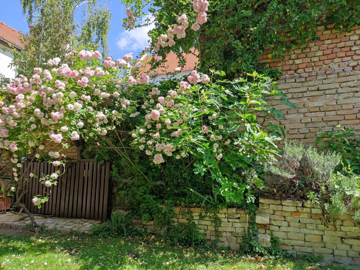 Patak28 Apartmanok Sopron Ngoại thất bức ảnh
